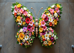 Kwiatowy, Motyl, Kolorowe, Kwiaty