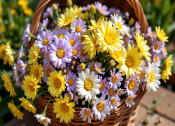 Żółte, Białe, Fioletowe, Kwiaty, Koszyk