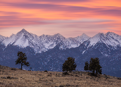 Zachód słońca, Góry, Sangre de Cristo Mountains, Łąka, Drzewa, Trawa, Westcliffe, Kolorado, Stany Zjednoczone