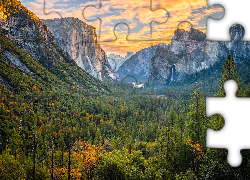Stany Zjednoczone, Kalifornia, Park Narodowy Yosemite, Góry, Drzewa