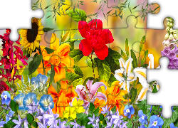 Kwiaty, Lilie, Słonecznik, Grafika