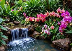 Kamienie, Oczko wodne, Kwiaty, Kolorowe, Storczyki, Rośliny, Grafika AI