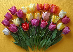 Kwiaty, Kolorowe, Tulipany, Żółte, Tło