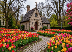 Wiosna, Kościół, Tulipany, Ścieżka, Drzewa