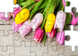 Kolorowe, Tulipany, Różowa, Wstążka, Deski