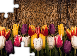 Kolorowe, Tulipany, Drewno, Deska