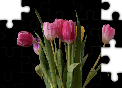 Tulipany, Kwiaty, Kolorowe
