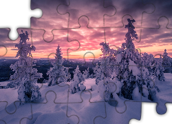 Zima, Ośnieżone, Drzewa, Zachód słońca, Sallatunturi, Laponia, Finlandia