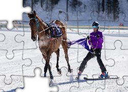 Koń, Zawodnik, Wyścigi konne, White Turf, Sankt Moritz, Szwajcaria
