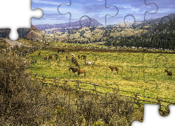Farma, Pastwisko, Red Hills Ranch, Konie, Góry, Hrabstwo Teton, Stan Wyoming, Stany Zjednoczone
