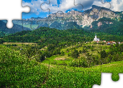 Góry, Wieś Dreznica, Słowenia, Drzewa, Domy, Rośliny