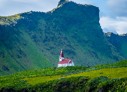 Góry, Trawa, Kwiaty, Kościół, Vik i Myrdal, Islandia