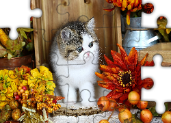 Kotek, Kwiaty, Kompozycja