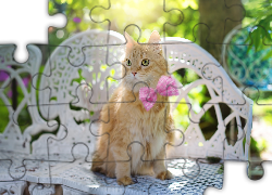 Rudy, Kot, Ławka, Ogród, Kokarda, Rozmycie, Spojrzenie