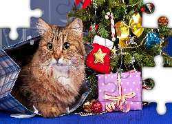 Kot, Prezenty, Choinka, Boże Narodzenie