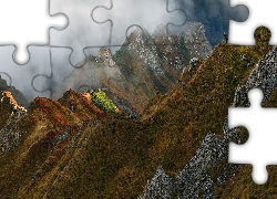 Góry, Mgła, Skały, Roślinność, Kozy górskie