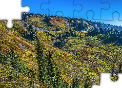 Góry, Drzewa, Jesień