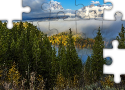 Jesień, Las, Góry, Drzewa, Świerki, Mgła, Krajobraz, Park Narodowy Grand Teton, Stan Wyoming, Stany Zjednoczone