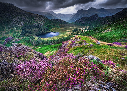 Anglia, Cumbria, Park Narodowy Lake District, Góry, Jezioro, Wrzosowisko, Chmury, Skały