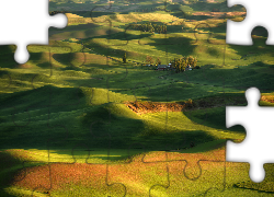 Drzewa, Domy, Pola, Steptoe Butte State Park, Region Palouse, Stan Waszyngton, Stany Zjednoczone