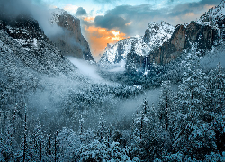 Zima, Mgła, Śnieg, Drzewa, Góry, Park Narodowy Yosemite, Kalifornia, Stany Zjednoczone