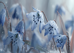 Cebulica syberyjska, Niebieskie, Kwiaty, Grafika AI