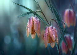 Krople, Kwiaty, Grafika AI