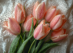 Różowe, Tulipany, Krople