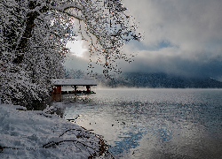 Niemcy, Bawaria, Zima, Jezioro Alpsee, Drzewa, Gałązki, Śnieg, Mgła, Chmury