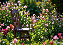 Kwiaty, Krzesło, Ogród