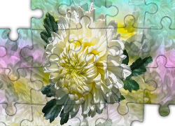 Kwiat, Chryzantema, Grafika