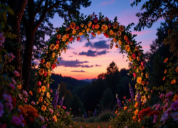 Kwiatowy, Łuk, Kolorowe, Kwiaty, Zachód słońca, Drzewa