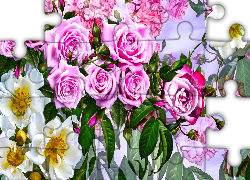 Kwiaty, Dzika róża, Różowe, Róże, Grafika