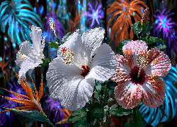 Hibiskus, Kwiaty, Grafika AI