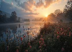Kwiaty, Jezioro, Promienie słońca, Grafika AI