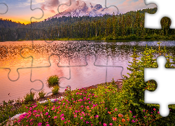 Park Narodowy Mount Rainier, Góra, Stratowulkan Mount Rainier, Jezioro, Drzewa, Kwiaty, Zachód słońca, Chmury, Stan Waszyngton, Stany Zjednoczone