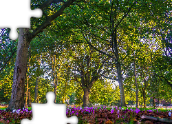 Zielone, Drzewa, Kwiaty