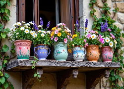 Kwiaty, Kolorowe, Doniczki, Parapet, Okno