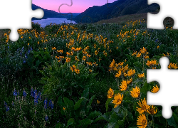 Stany Zjednoczone, Stan Oregon, Rezerwat przyrody Columbia River Gorge, Wzgórza, Łąka, Kwiaty, Łubin, Balsamorhiza, Góry, Rzeka