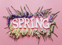 Spring, Wiosna, Napis, Kwiaty, Różowe, Tło