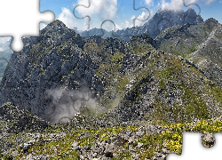 Skaliste, Góry, Skały, Kwiaty