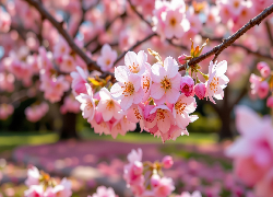 Kwitnąca, Gałązka, Drzewo owocowe, Grafika AI