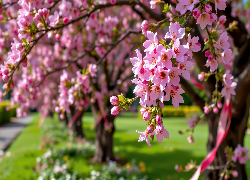 Kwitnące, Drzewa, Różowe, Kwiaty, Grafika AI