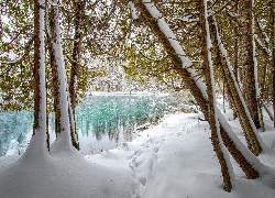 Zima, Śnieg, Rzeka, Drzewa, Palms Book State Park, Michigan, Stany Zjednoczone