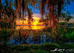 Stany Zjednoczone, Floryda, Mount Dora, Jezioro, Lake Dora, Zachód słońca, Drzewa