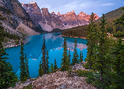 Kanada, Alberta, Park Narodowy Banff, Góry, Jezioro, Moraine Lake, Drzewa, Skała