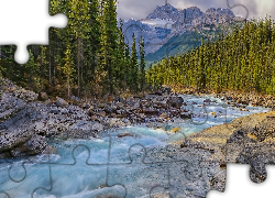 Rzeka, Mistaya River, Skały, Kamienie, Las, Drzewa, Góry, Canadian Rockies, Park Narodowy Banff, Alberta, Kanada