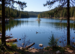 Jezioro, Drzewa, Łódki, Kamienie, Rośliny