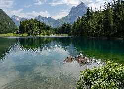 Zbiornik zaporowy, Jezioro, Arnisee, Góry, Drzewa, Las, Kanton Uri, Szwajcaria