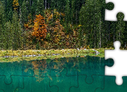 Jezioro Herzsee, Drzewa, Las, Gmina Aldrans, Austria